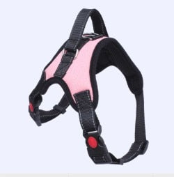 Soft Adjustable Harness for small to large dog