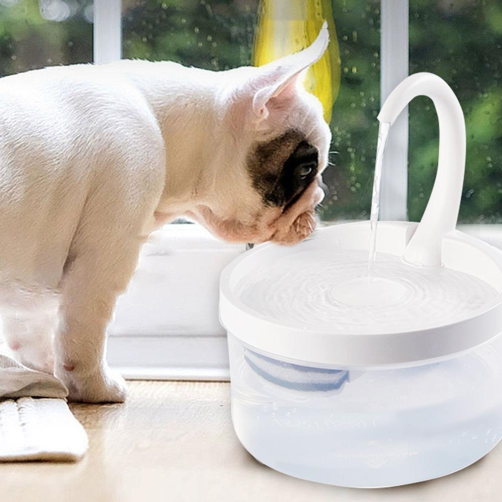 automatic pet water fountain with automatic shutoff