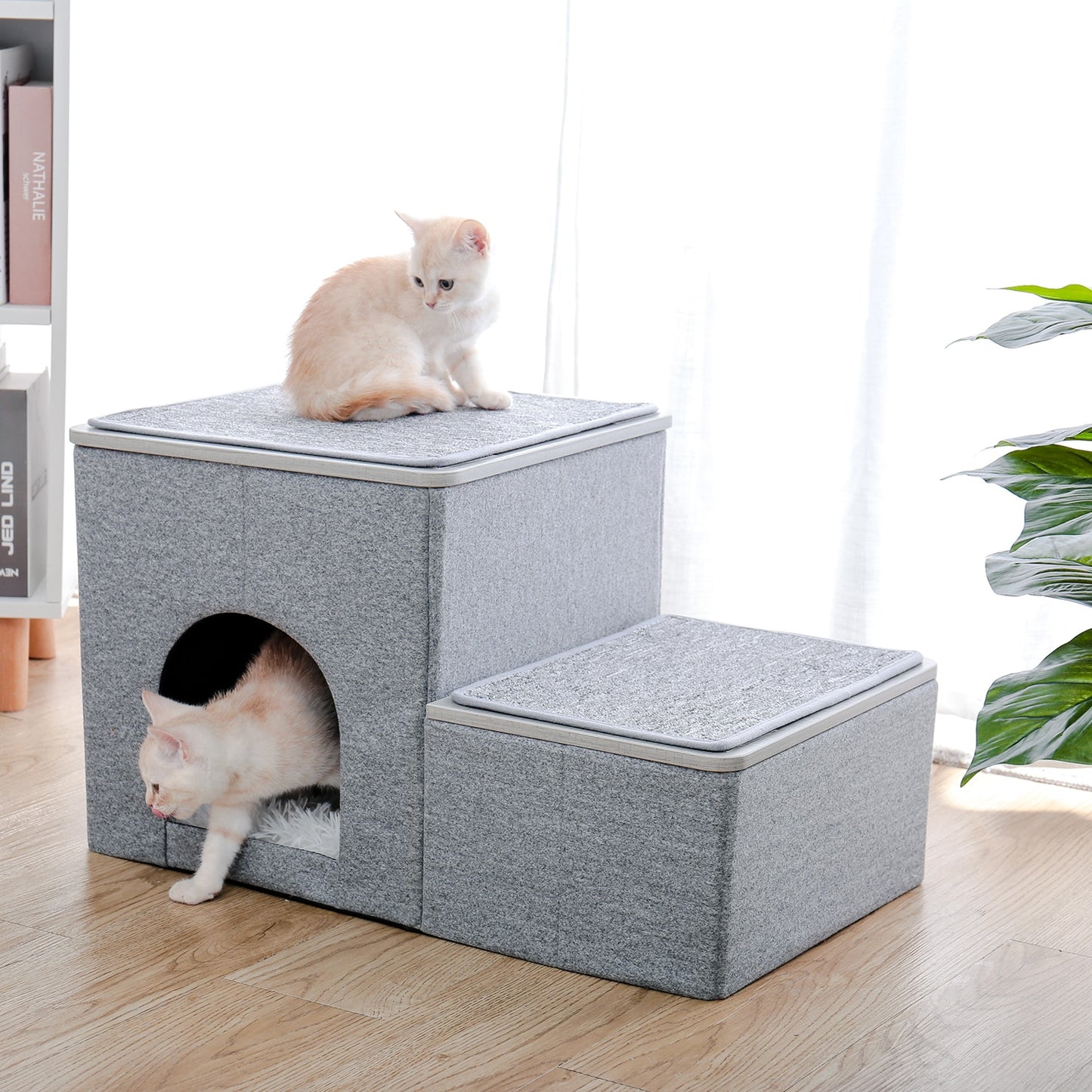 2 in 1 pet steps and bed