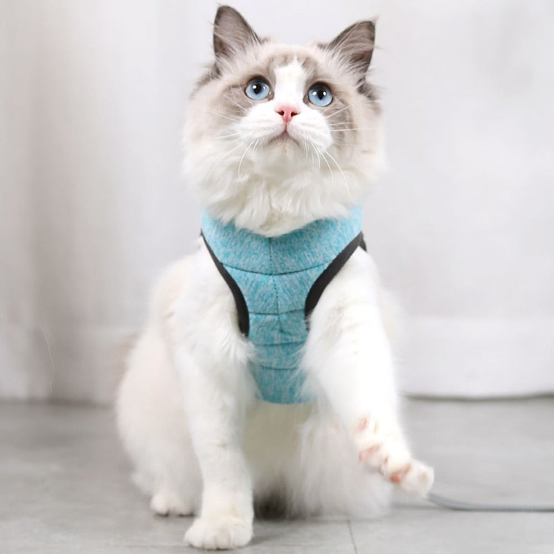 Cat Harness and Leash for Walking, keep pet safe