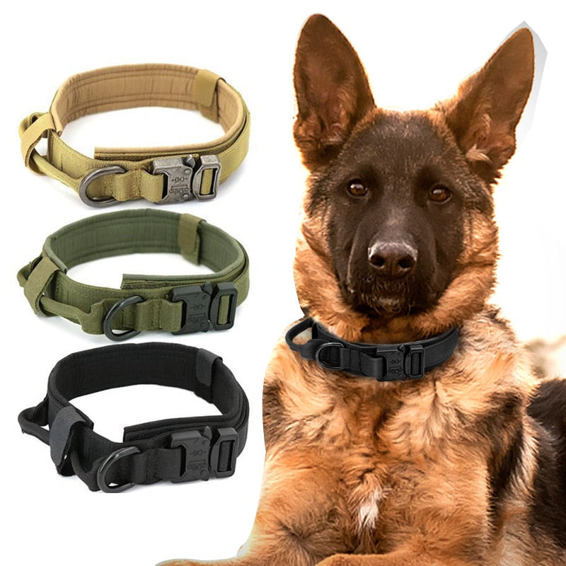 Durable Tactical adjustable military dog collar