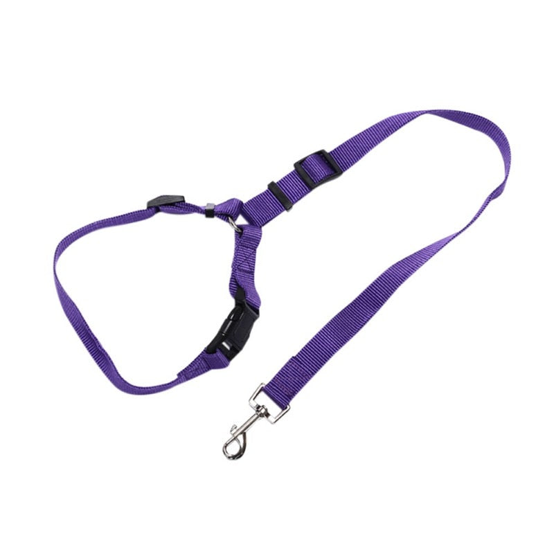 Pet Car Seat Belt with elastic strap