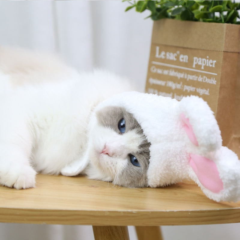 Cute Easter Bunny Rabbit Hat With Ears For Cats Small Dogs