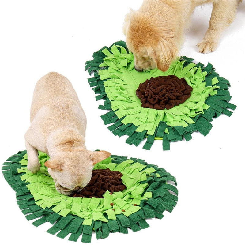 dog sniffing feeding puzzle mat