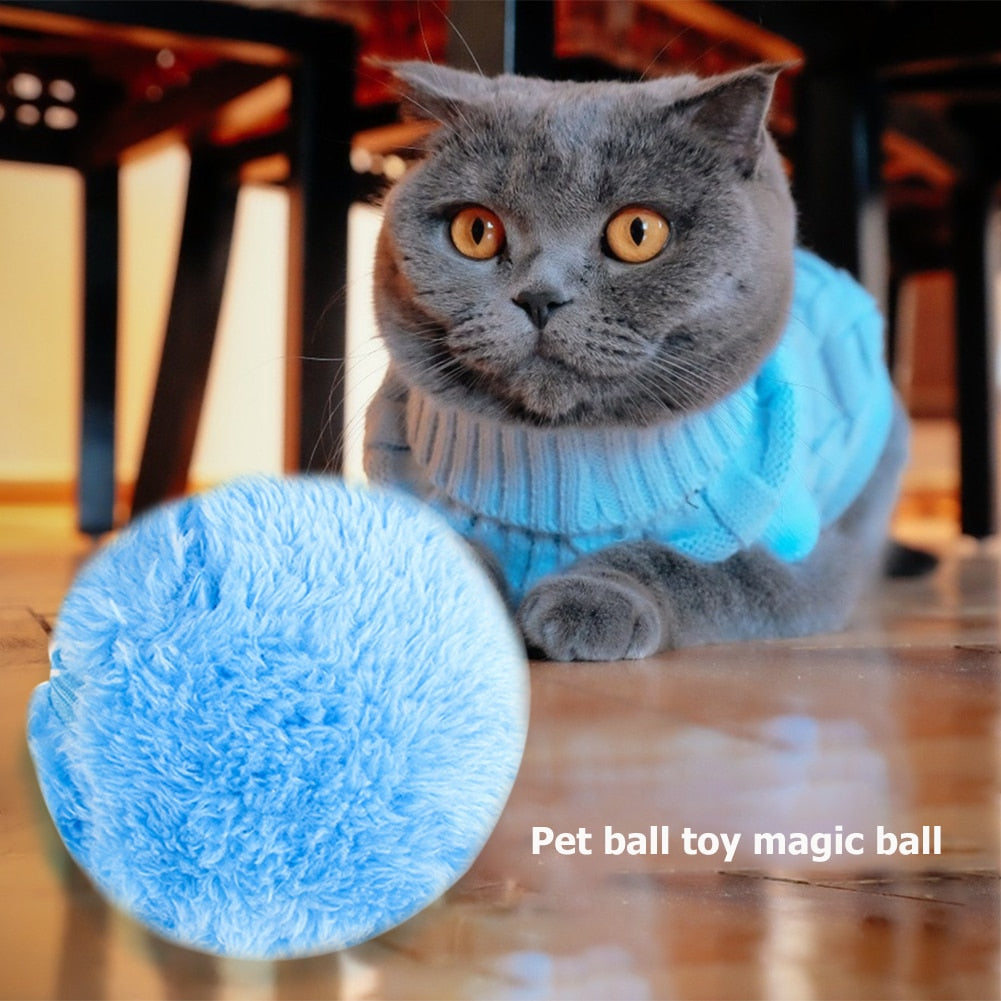 5pcs Battery powered interactive Pet Toy Ball