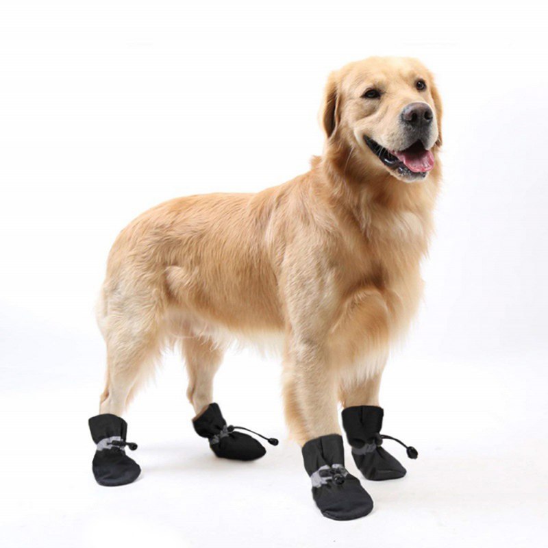 4pcs soft soled antiskid pet shoes