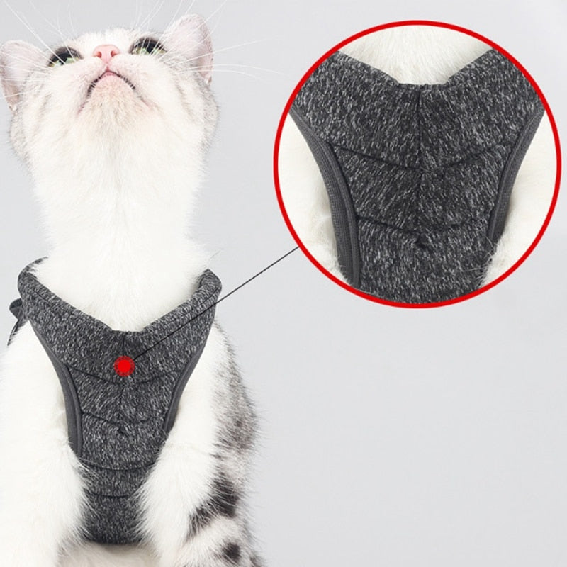 Cat Harness and Leash for Walking, keep pet safe