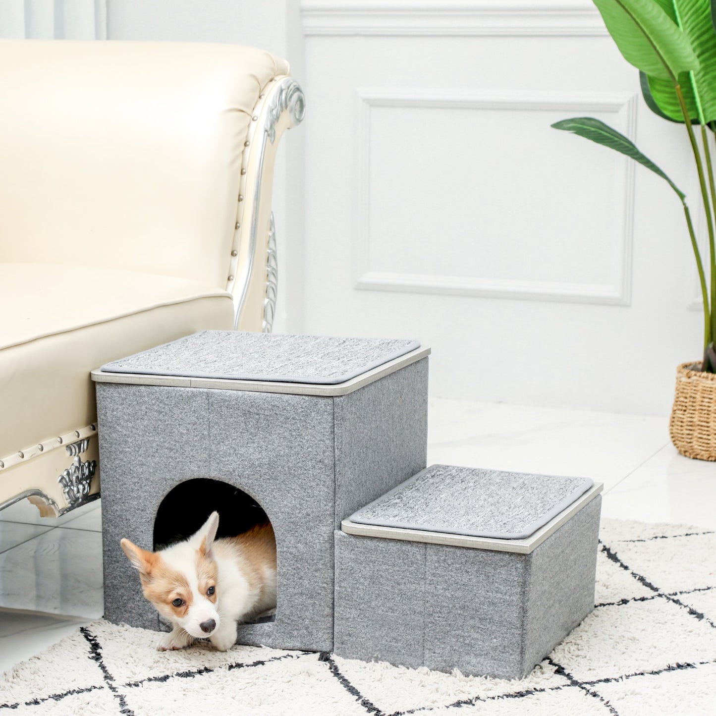 2 in 1 pet steps and bed