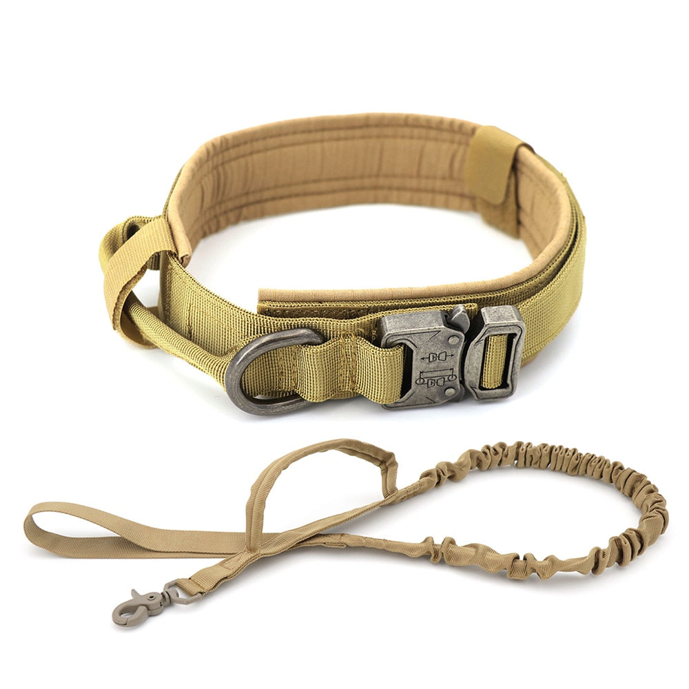 tactical training dog collar and leash set