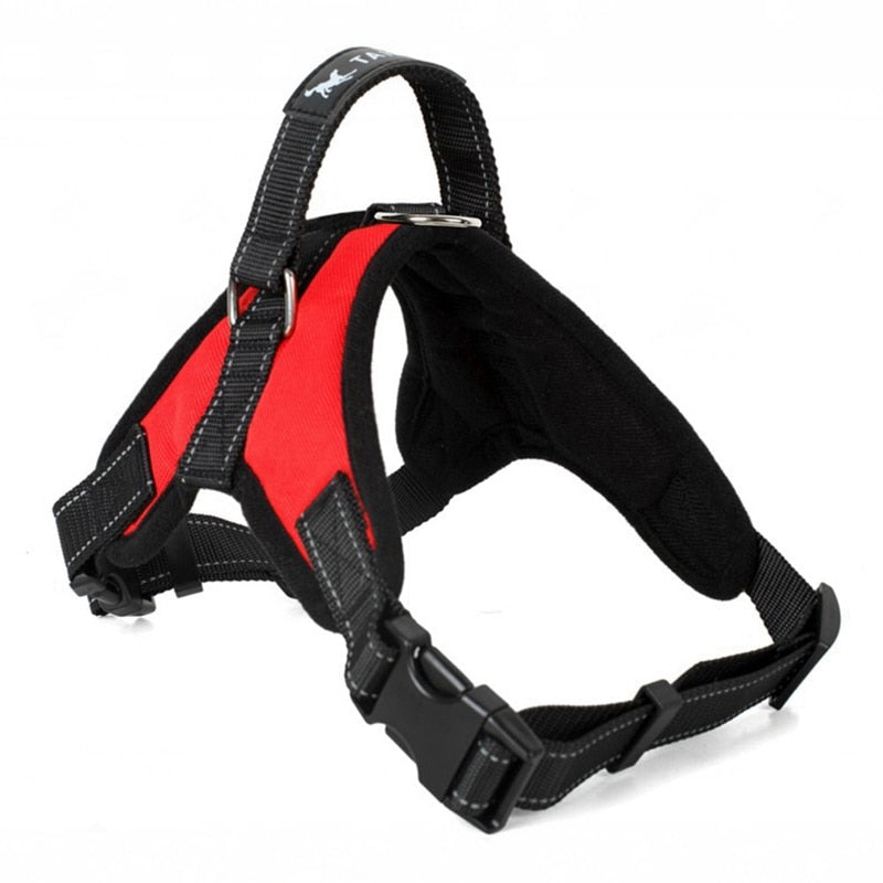 Soft Adjustable Harness for small to large dog