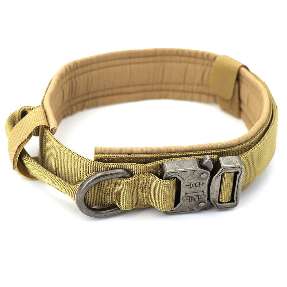 tactical training dog collar and leash set