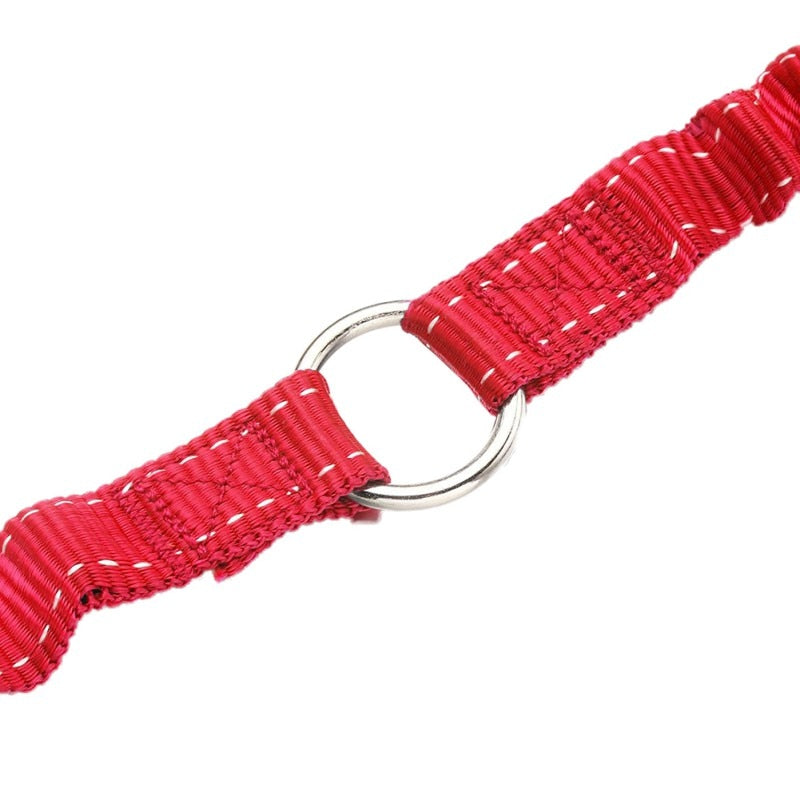 Double Leash Elastic Bungee  leads For 2 Pets