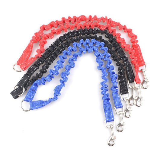 Double Leash Elastic Bungee  leads For 2 Pets