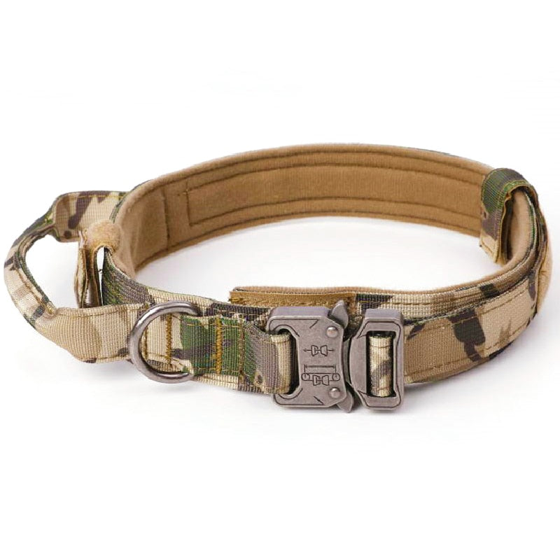 tactical training dog collar and leash set