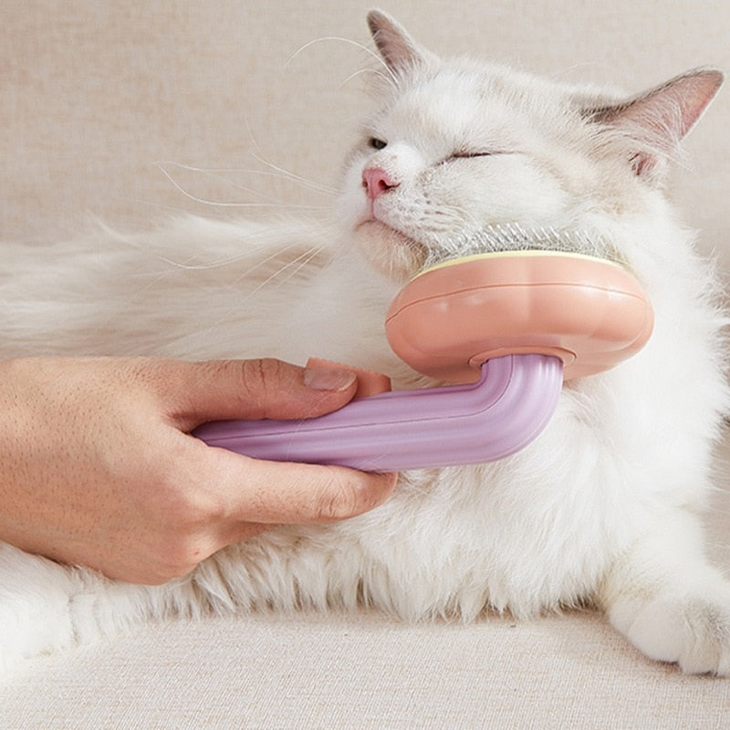 pumpkin style self cleaning pet brush