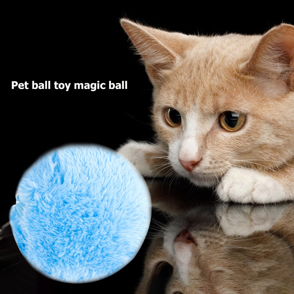 5pcs Battery powered interactive Pet Toy Ball