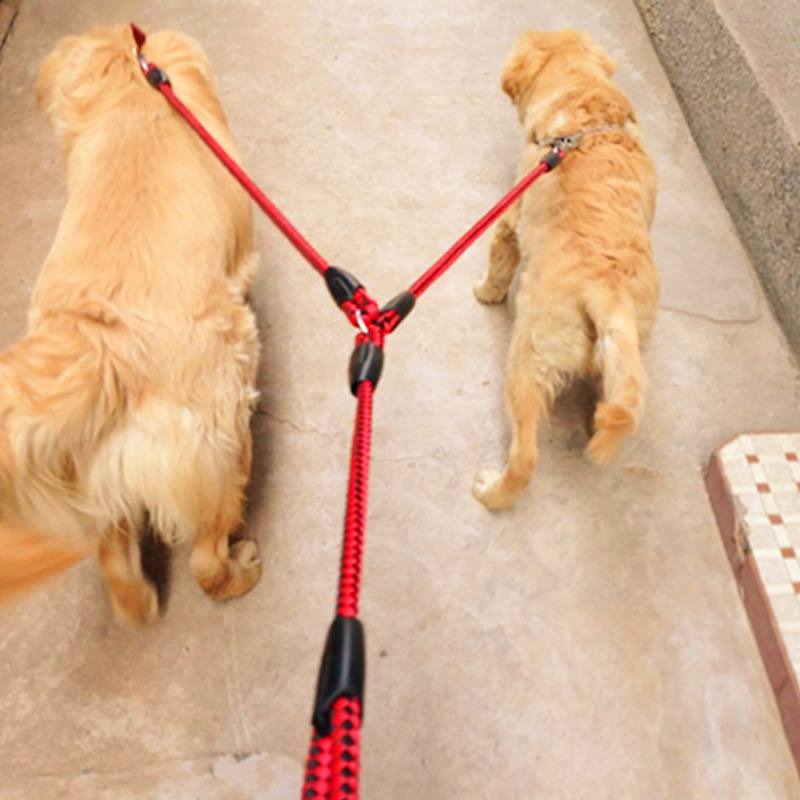 two way dual nylon dog lead