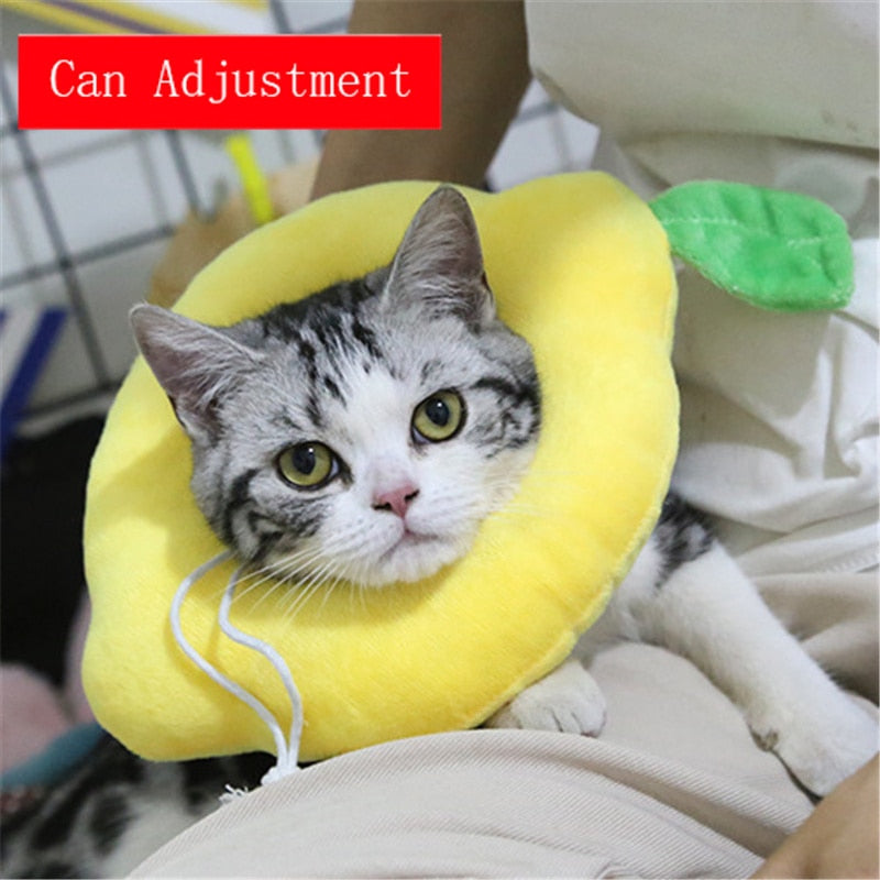 Dog Cat Adjustable Wound Healing Collar