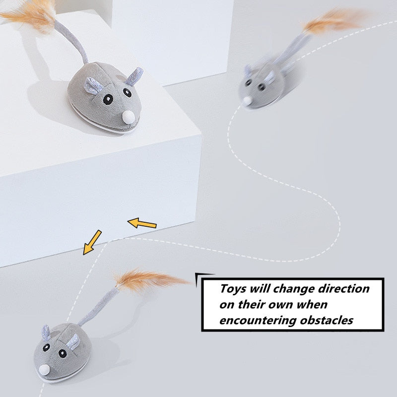 Crawling Mouse interactive pert toy