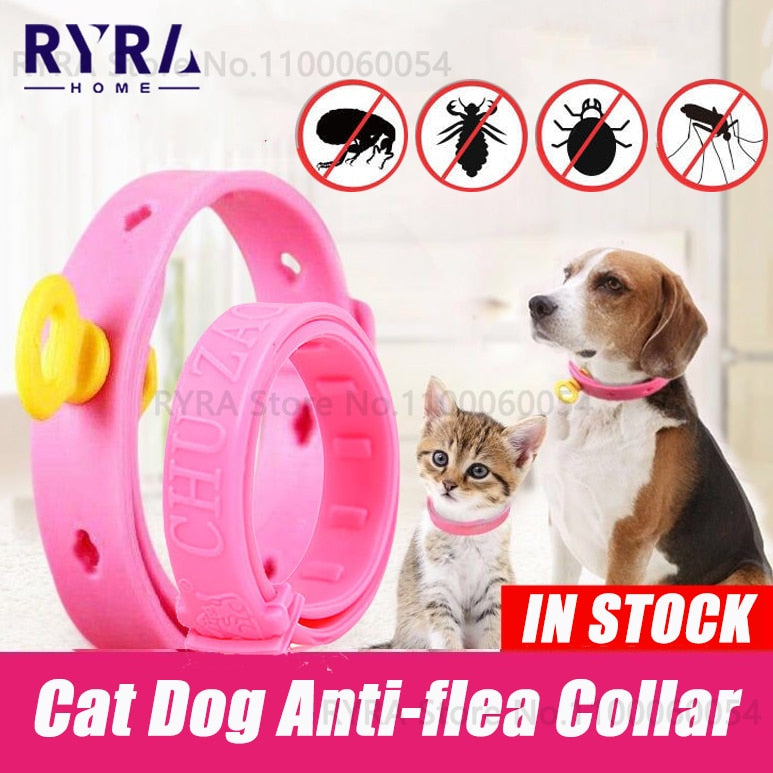 Dog Cat Flea Adjustable Collar