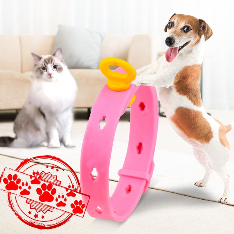 Dog Cat Flea Adjustable Collar