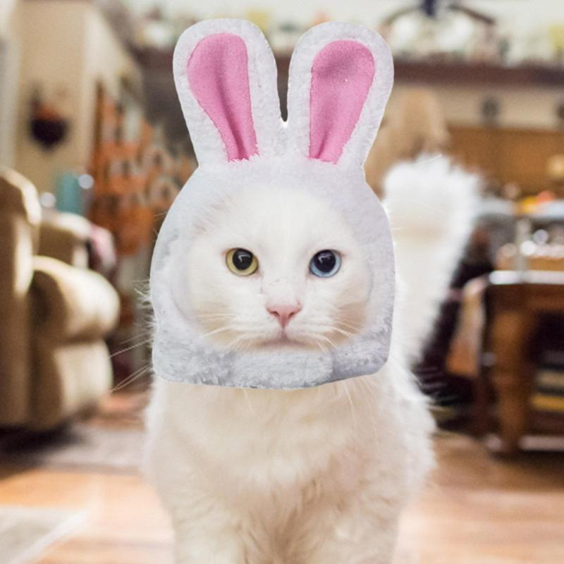 Easter Bunny Cat Costume