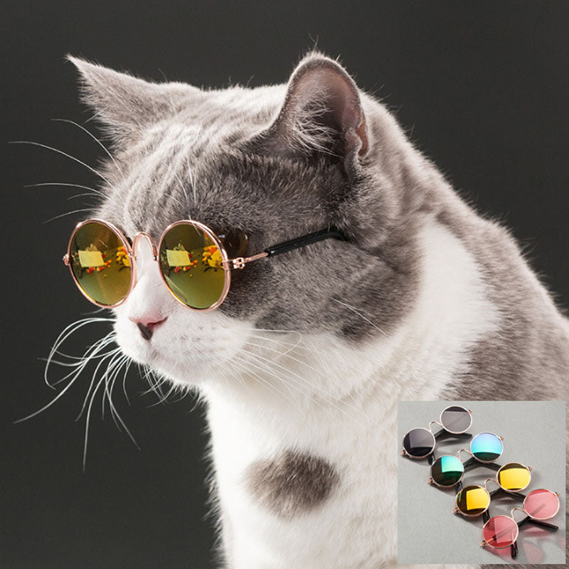 reflective pet fun sunglasses