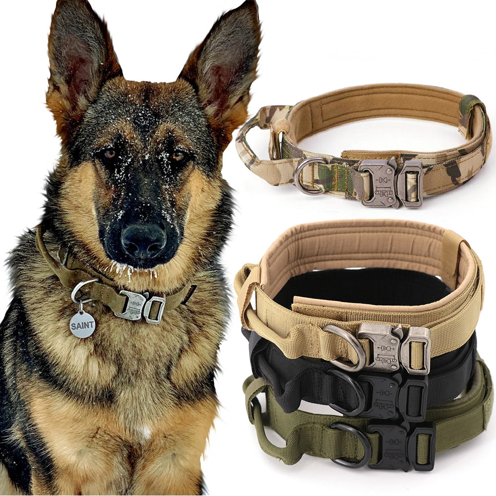 tactical training dog collar and leash set