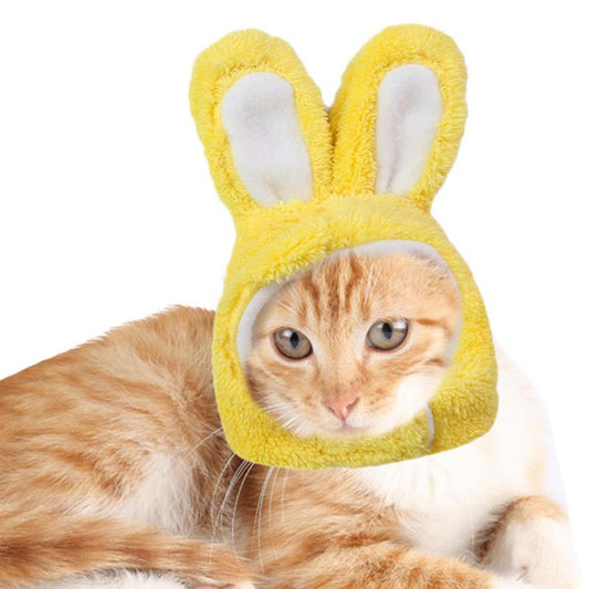 Easter Bunny Cat Costume