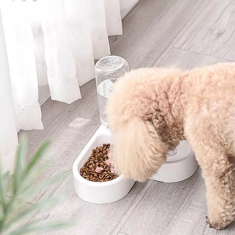 pet corner automatic water feeder bowl combo