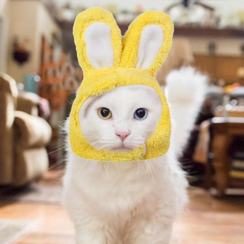 Easter Bunny Cat Costume