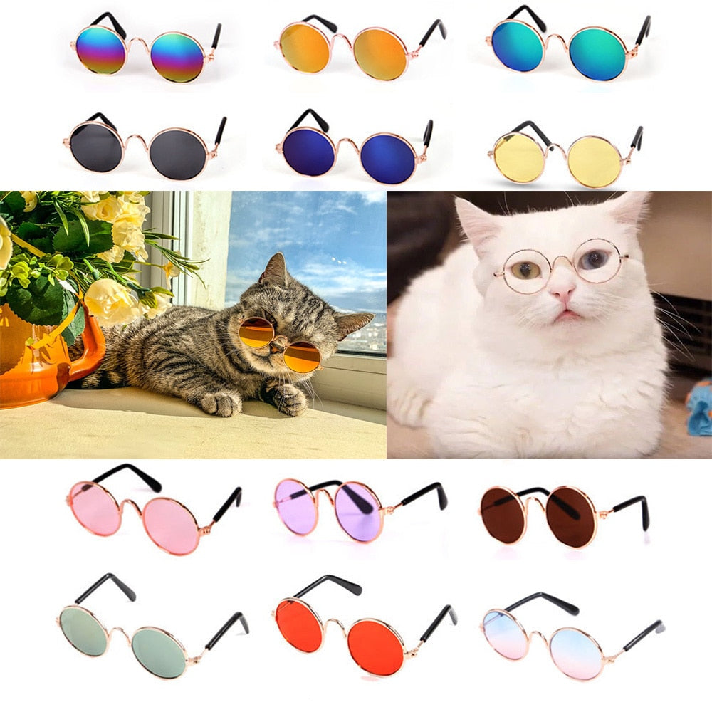 reflective pet fun sunglasses